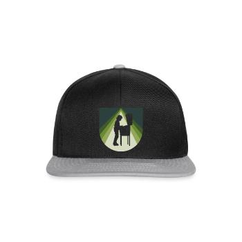 Pinball Gambler - Snapback Cap - black/grey - Front