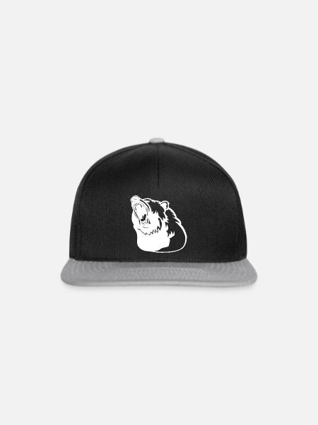 Das Erwachen des Eisbären - Snapback Cap - Schwarz/Grau