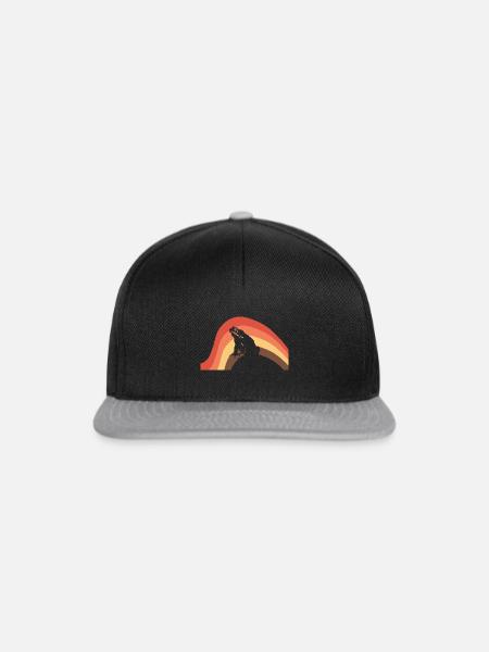 Frosch Teich Quak - Snapback Cap - Schwarz/Grau