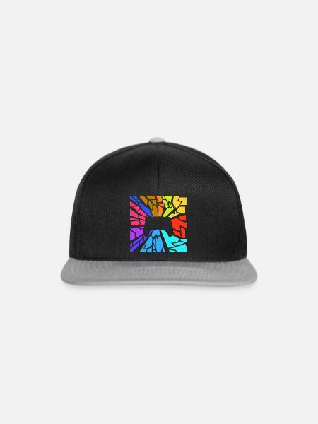 Controller - Snapback Cap - Schwarz/Grau