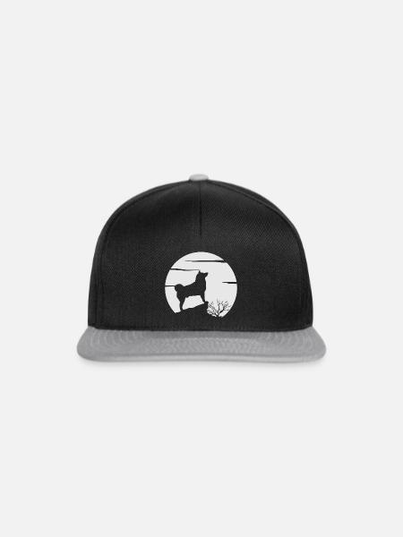 Akita - Snapback Cap - Schwarz/Grau