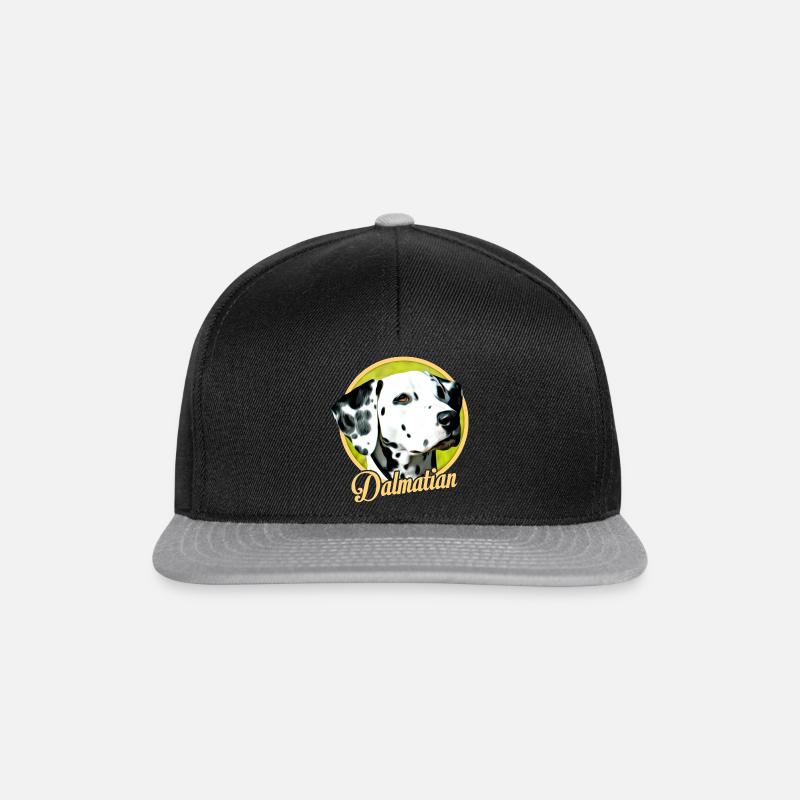 dalmatien - Casquette snapback - noir/gris