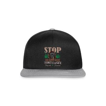 Orang-Utan - Snapback Cap - Schwarz/Grau - Vorne