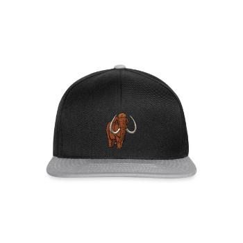 Couleur mammouth - Casquette snapback - noir/gris - Devant