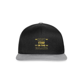 Best Ever IN THE GALAXIE VETERINARY - Snapback Cap - black/grey - Front