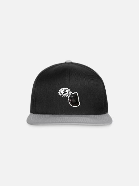 AFD Nee! - Snapback Cap - Schwarz/Grau