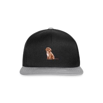 Evolution Of Cockapooss - Snapback Cap - Schwarz/Grau - Vorne
