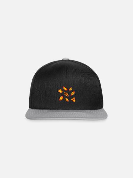 Herbst - Snapback Cap - Schwarz/Grau