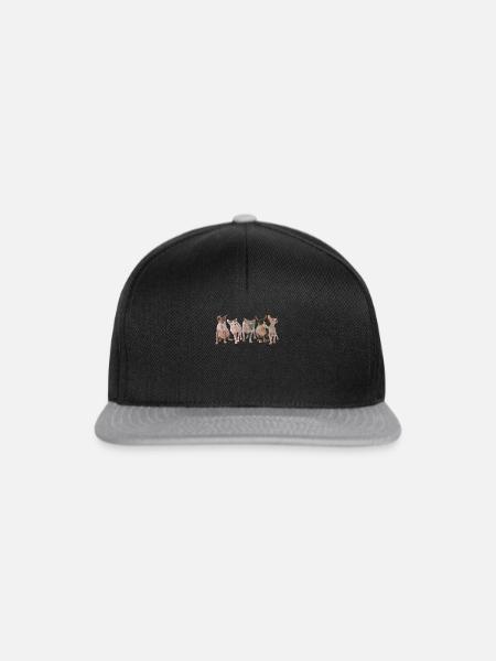 Sphinx Katzen - Snapback Cap - Schwarz/Grau
