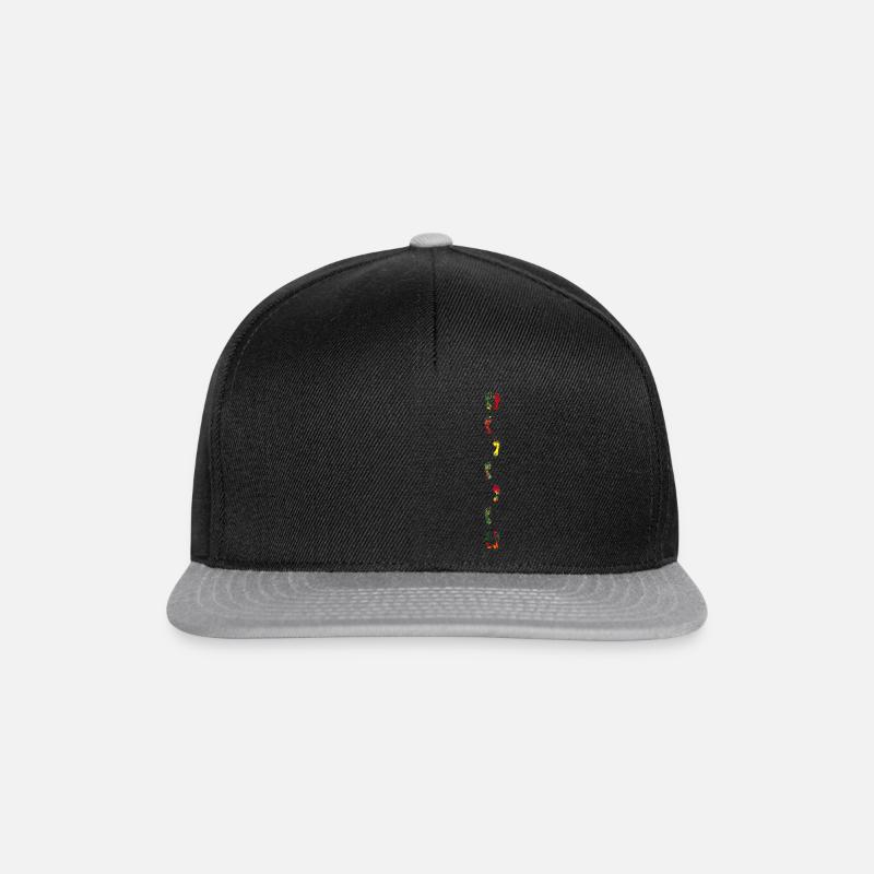 Pieds en marche - Casquette snapback - noir/gris