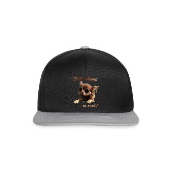 Chihuahua T-Shirts Chihuahuas are cool - Snapback Cap - black/grey - Front