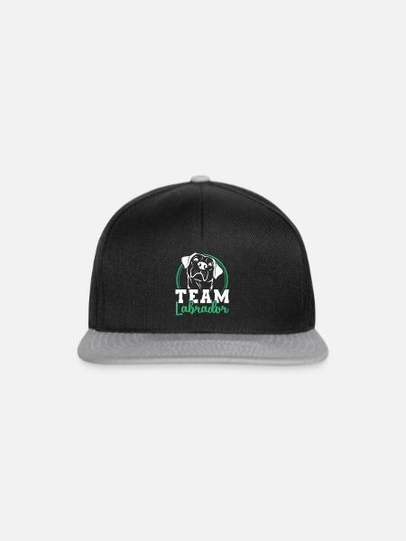 Labrador - Snapback Cap - Schwarz/Grau