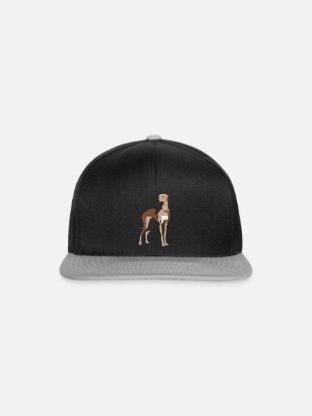 Windhund, Galgo, windhunde - Snapback Cap - Schwarz/Grau