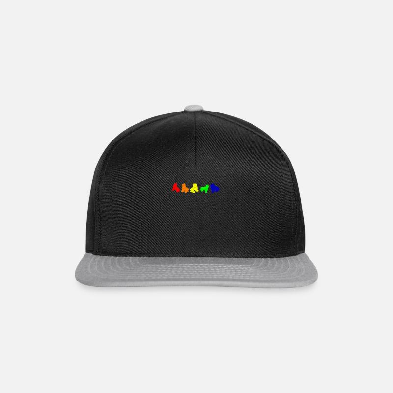 Regenbogen Inline Skates Rollschuhe für Inline - Snapback Cap - Schwarz/Grau