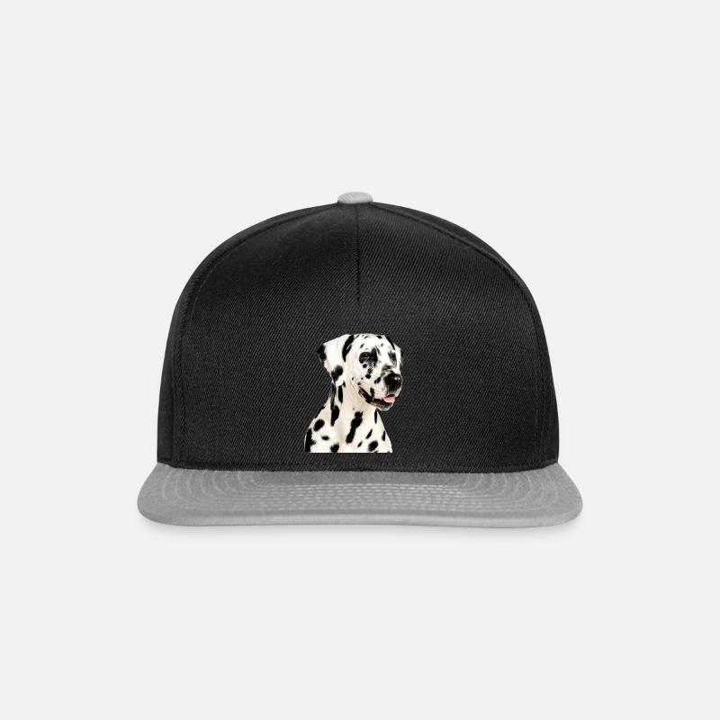 Dalmatiner - Snapback Cap - Schwarz/Grau
