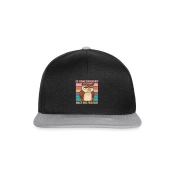 Hé honnêtement ferme le bureau de la chouette plus drôle - Casquette snapback - noir/gris - Devant