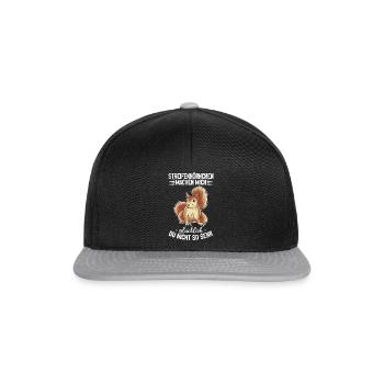 Streifenhörnchen machen mich glücklich - - Snapback Cap - Schwarz/Grau - Vorne
