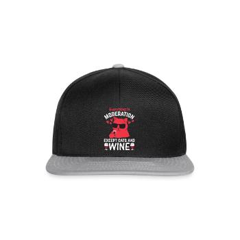 Alles in Maßen außer Katzen und Wein & Katzenliebh - Snapback Cap - Schwarz/Grau - Vorne