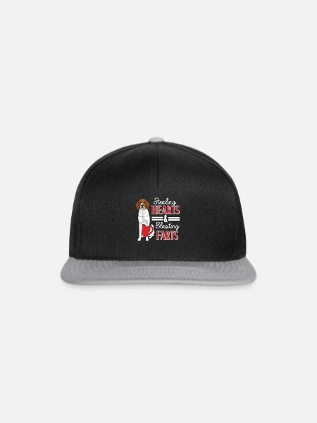 Treeing Walker Coonhound - Snapback Cap - Schwarz/Grau