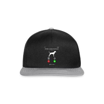 Black and Tan Coonhound - Snapback Cap - black/grey - Front