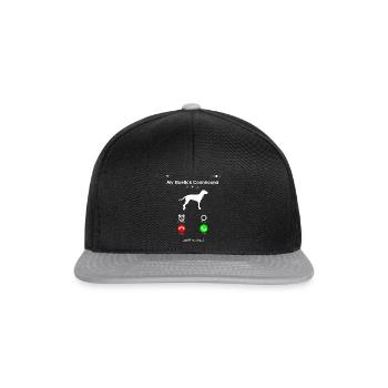 Bluetick Coonhound Dog - Snapback Cap - black/grey - Front