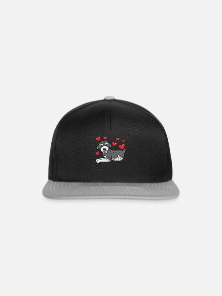 Schnoodle Hund - Snapback Cap - Schwarz/Grau
