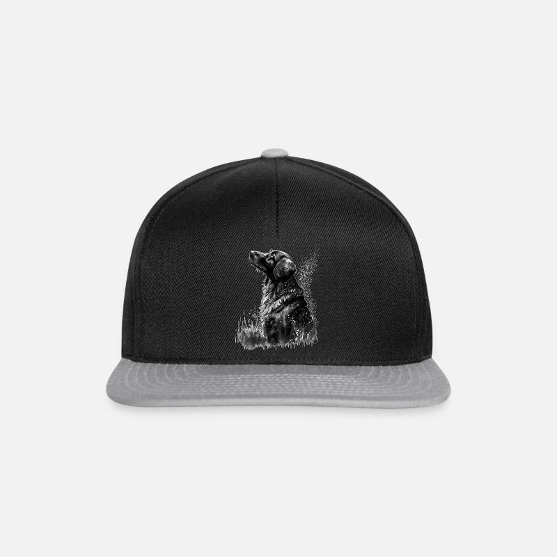 Retriever - Snapback Cap - black/grey