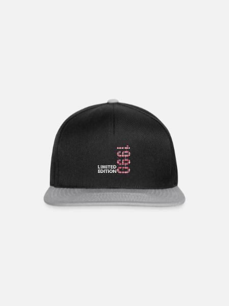 1990 Limited Edition - Snapback Cap - Schwarz/Grau