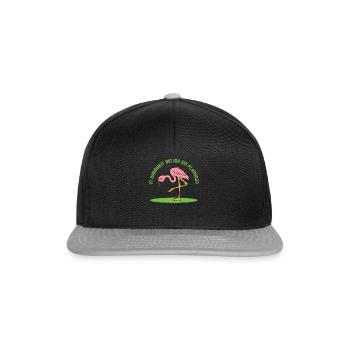 In Wahrheit Bin Ich Ein Flamingo - Snapback Cap - Schwarz/Grau - Vorne