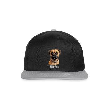 Chien Border Terrier - Casquette snapback - noir/gris - Devant