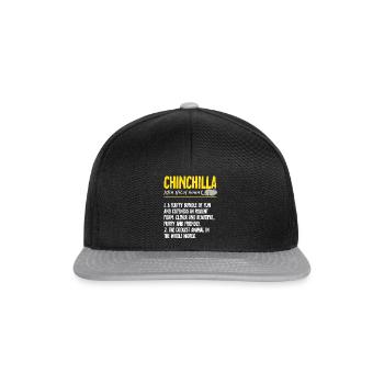 Chinchilla - Snapback Cap - Schwarz/Grau - Vorne