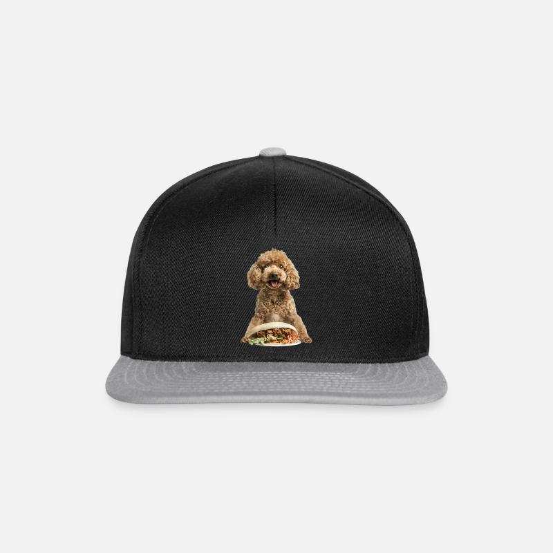 Pudel - Snapback Cap - Schwarz/Grau