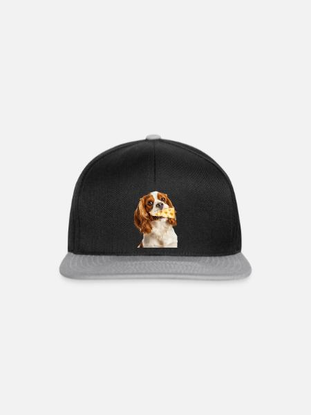 Cavalier King Spaniel - Snapback Cap - Schwarz/Grau