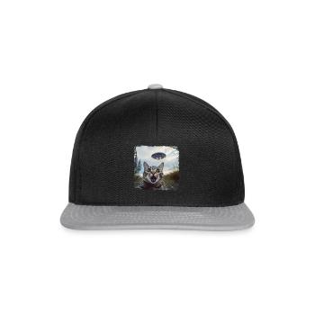 Funny Cat Selfie Ufo Meme Gift - Snapback Cap - black/grey - Front
