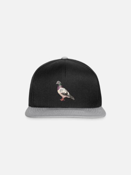 Tauben Taube - Snapback Cap - Schwarz/Grau