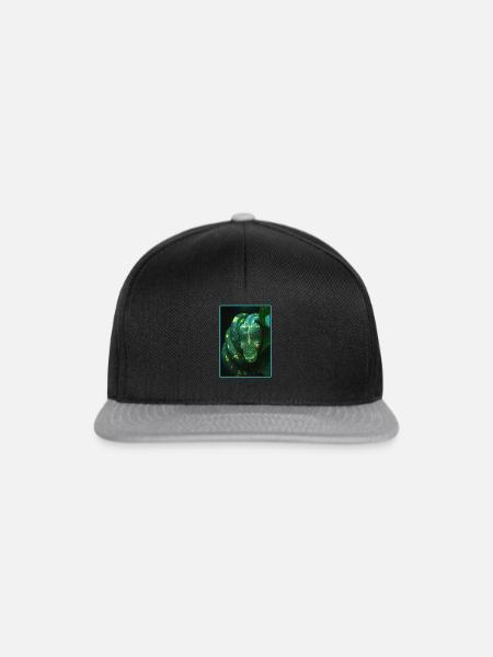 Schlangen Schlange - Snapback Cap - Schwarz/Grau
