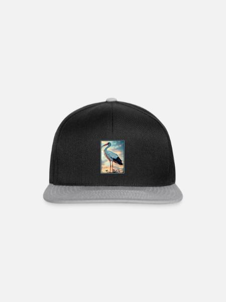 Störche Storch - Snapback Cap - Schwarz/Grau