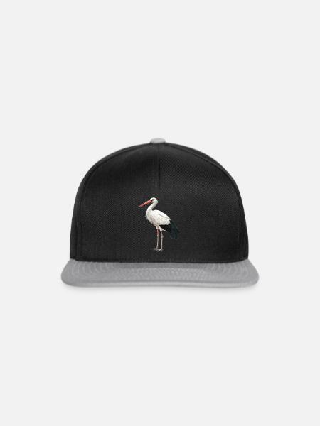 Störche Storch - Snapback Cap - Schwarz/Grau