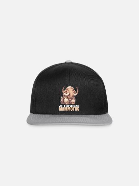 Mammuts Mammut - Snapback Cap - Schwarz/Grau