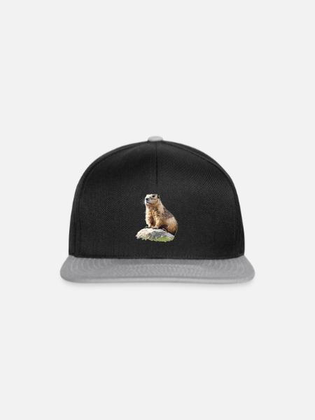 Murmeltiere Murmeltier - Snapback Cap - Schwarz/Grau