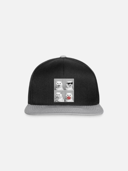 Katzen Perser Katze - Snapback Cap - Schwarz/Grau