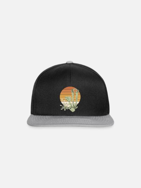 WüstenSand im Abendlicht - Snapback Cap - Schwarz/Grau