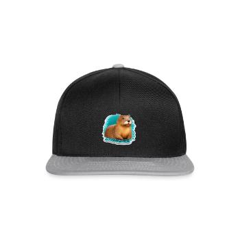 Biber süß - Snapback Cap - Schwarz/Grau - Vorne