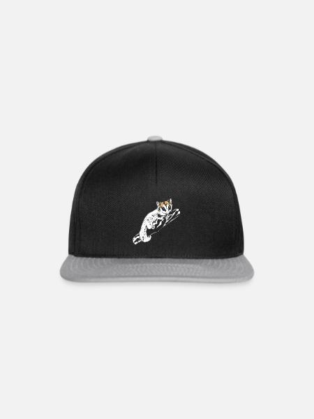 Kurzkopfgleitbeutler Sugar Glider - Snapback Cap - Schwarz/Grau