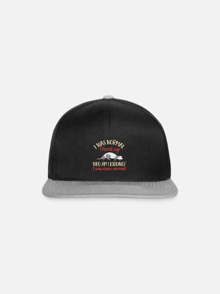 Frettchen Besitzer Frettchen - Snapback Cap - Schwarz/Grau