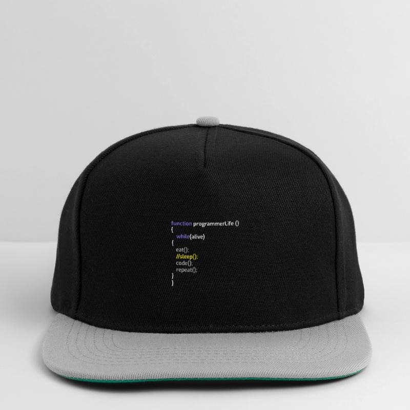 Programmeur informatique Codeurs Software Engineers Gift Casquette snapback