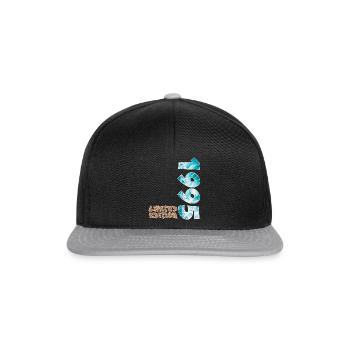Edition Limitée 1995 Beach Design - Casquette snapback - noir/gris - Devant