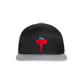 Alleyphant colors - Snapback Cap - Schwarz/Grau - Vorne