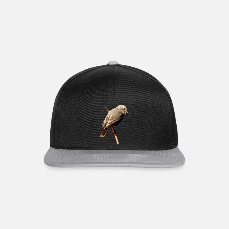 Rotschwänzchen - Snapback Cap - Schwarz/Grau