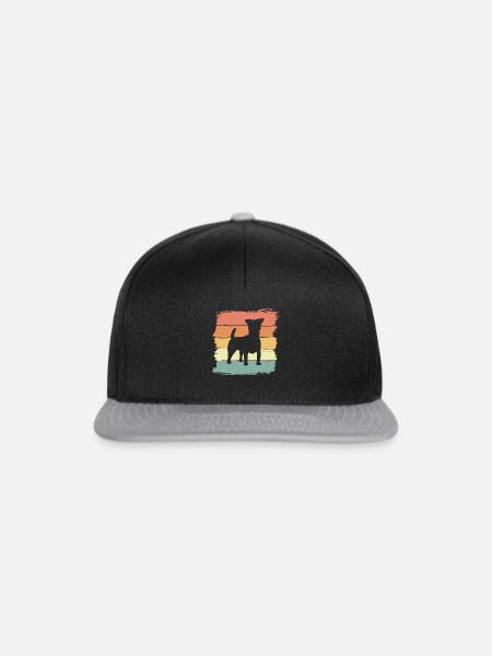 Russel-Terrier Retro - Snapback Cap - Schwarz/Grau